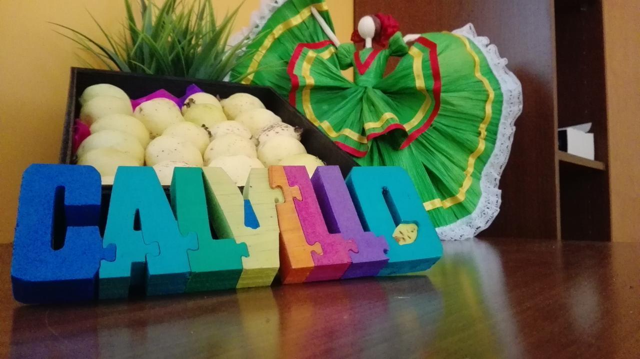 فندق La Gloria De Calvillo المظهر الخارجي الصورة
