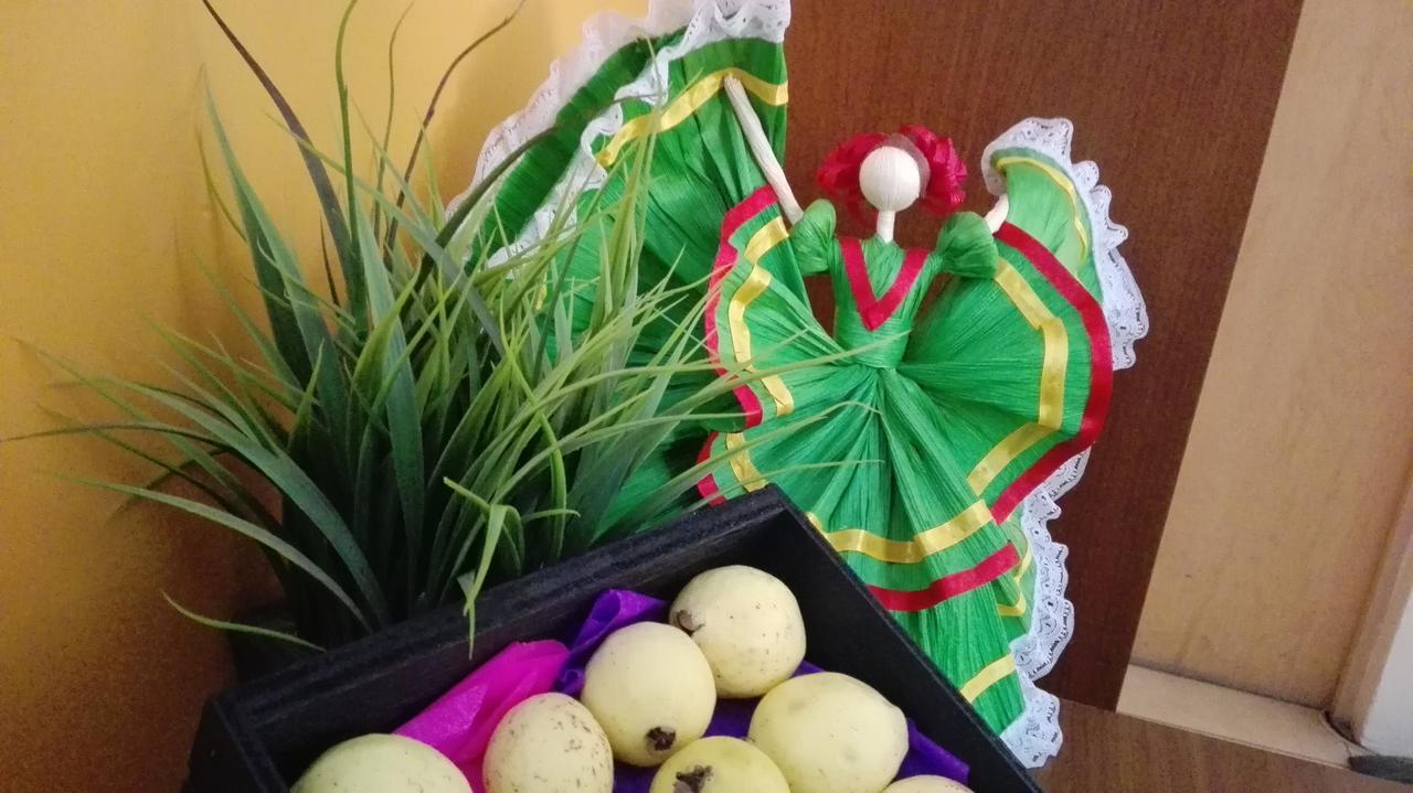 فندق La Gloria De Calvillo المظهر الخارجي الصورة